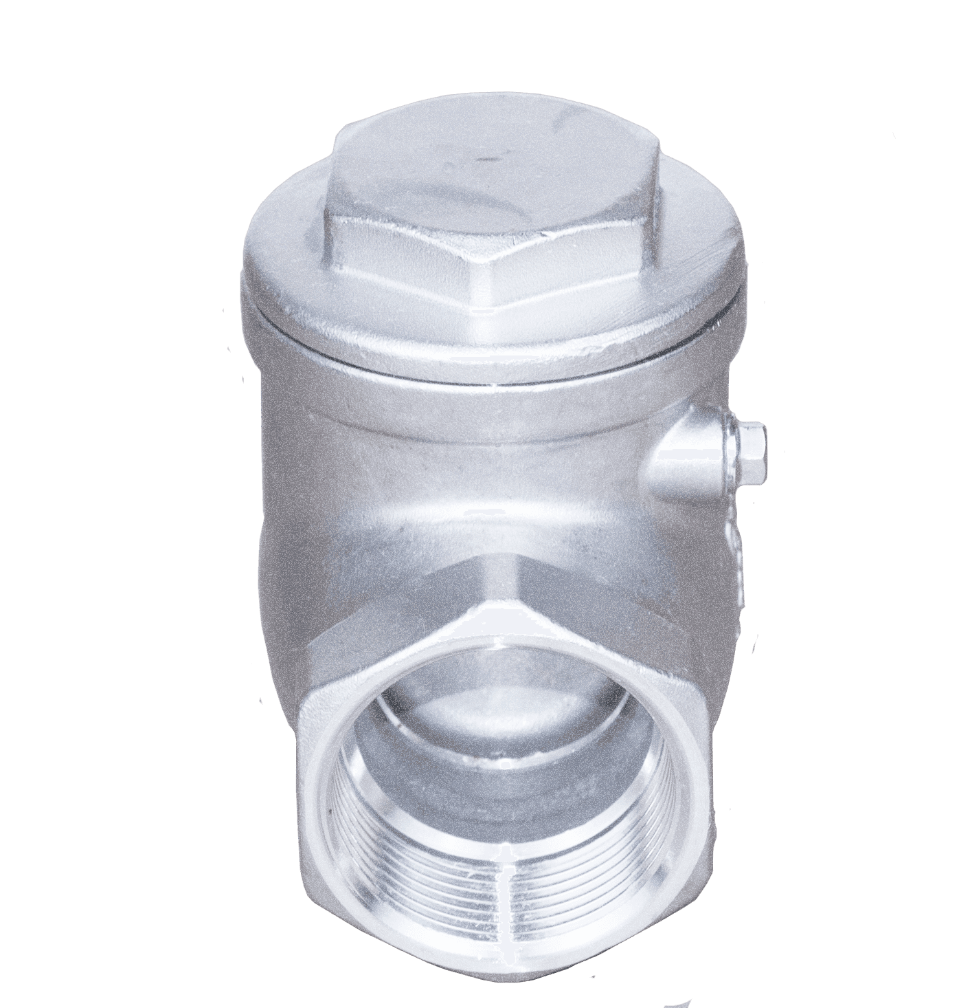 Stainless Steel Threaded Swing Check Valve - Image 4