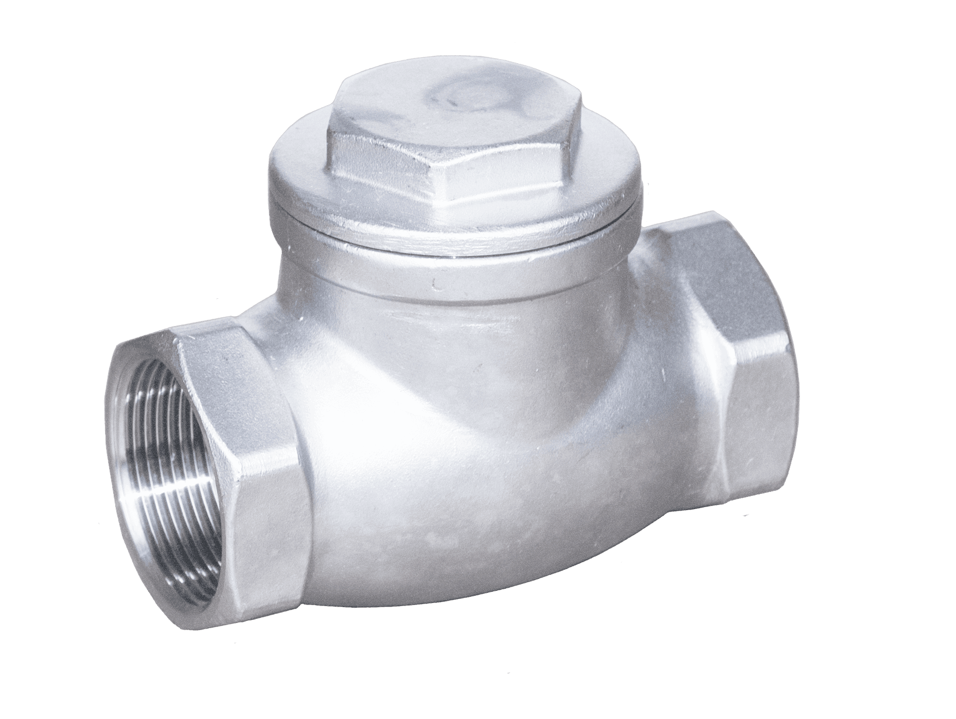 Stainless Steel Threaded Swing Check Valve - Image 5