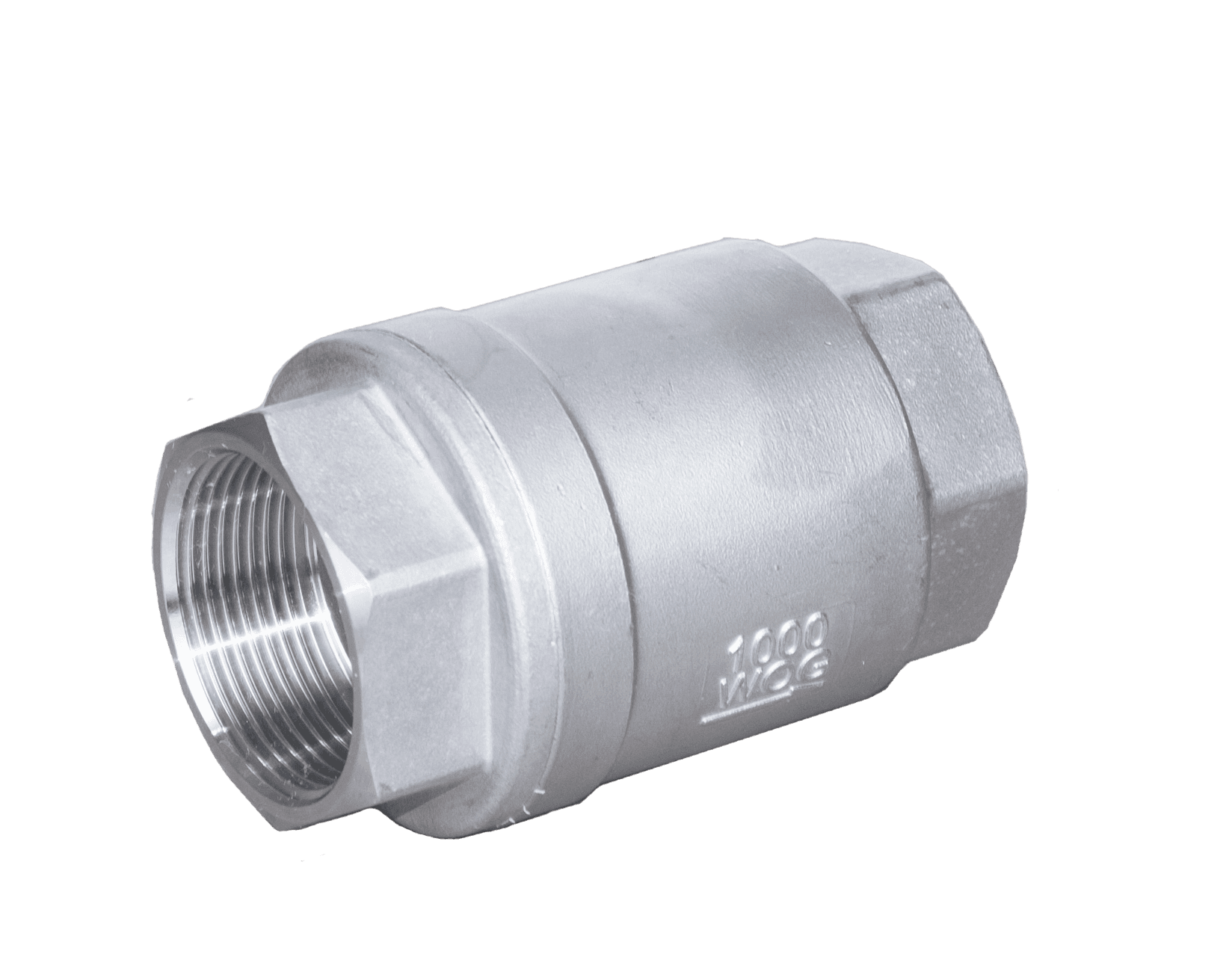 Stainless Steel Vertical Check Valve - Image 4