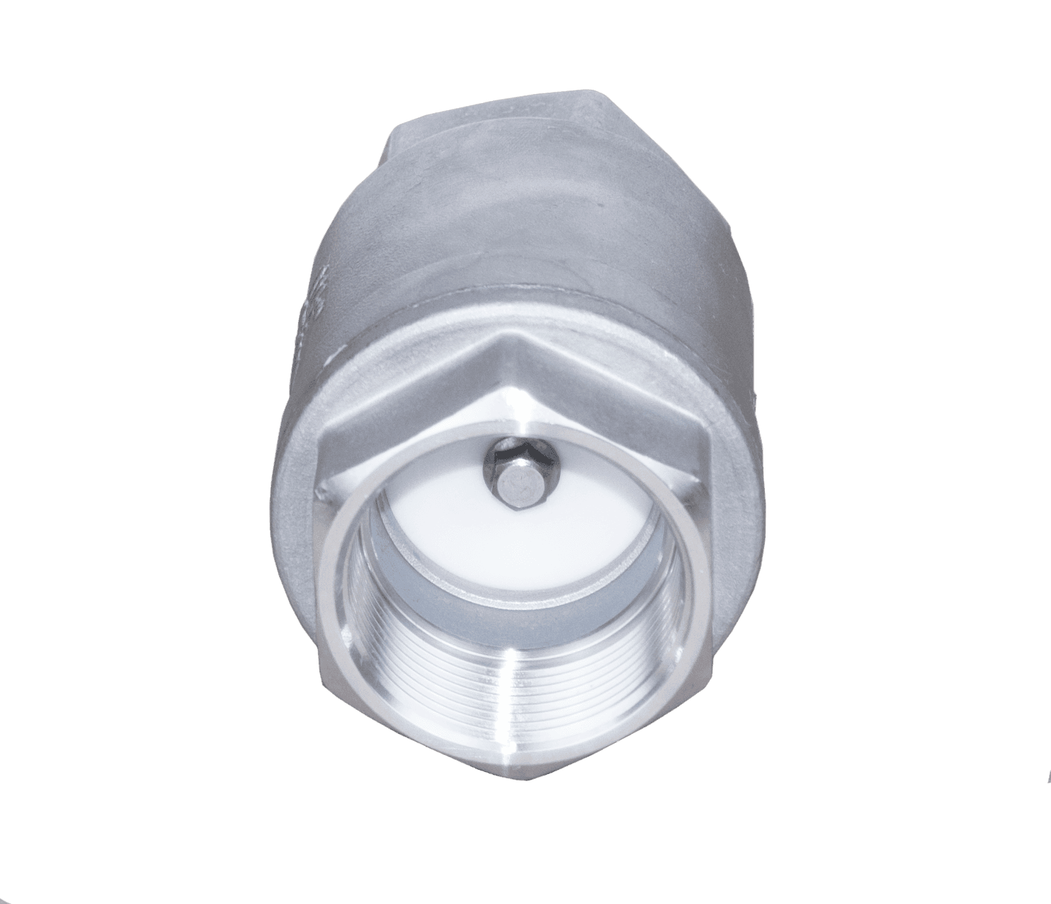 Stainless Steel Vertical Check Valve - Image 5