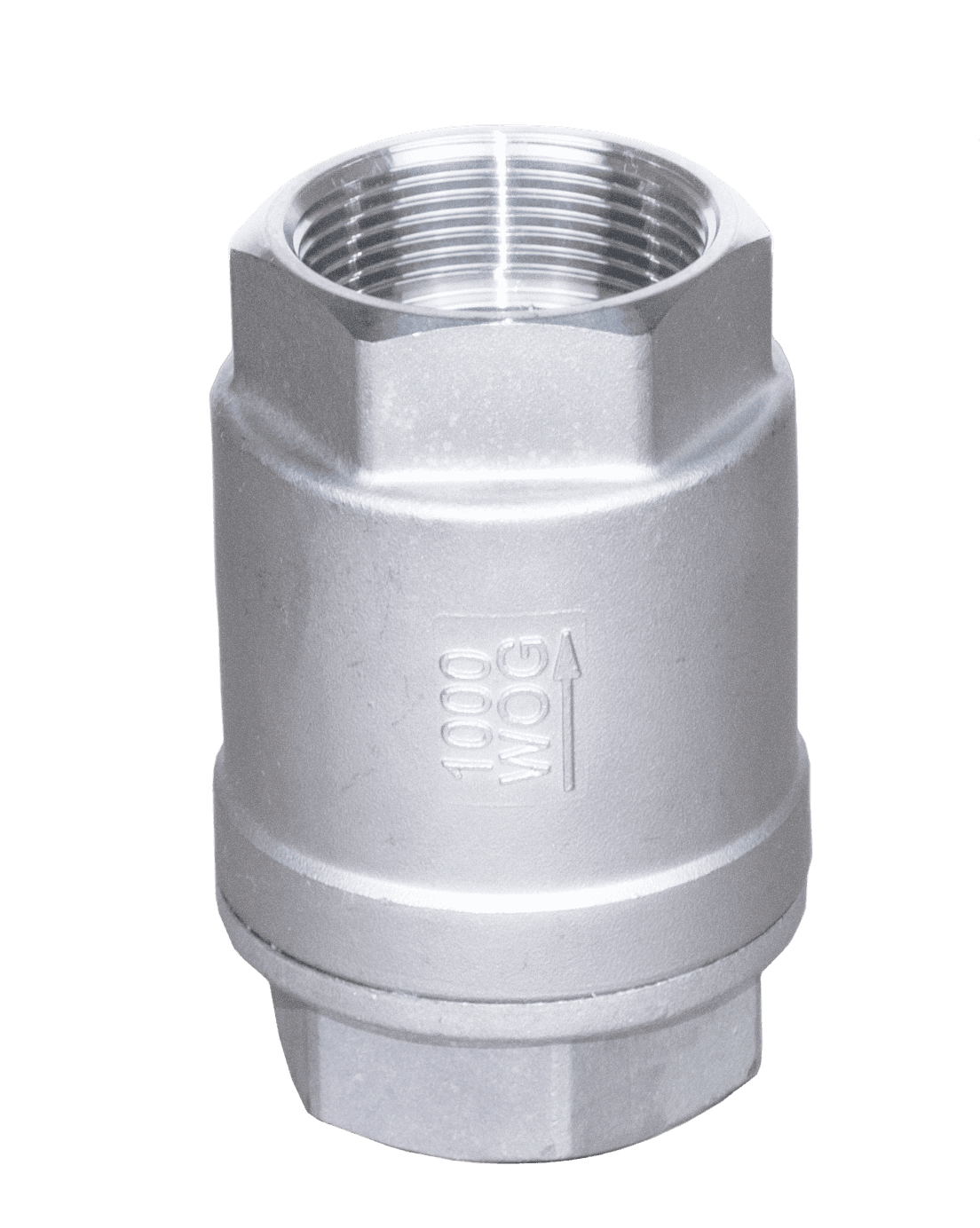 Threaded Vertical Check Valve - Image 1