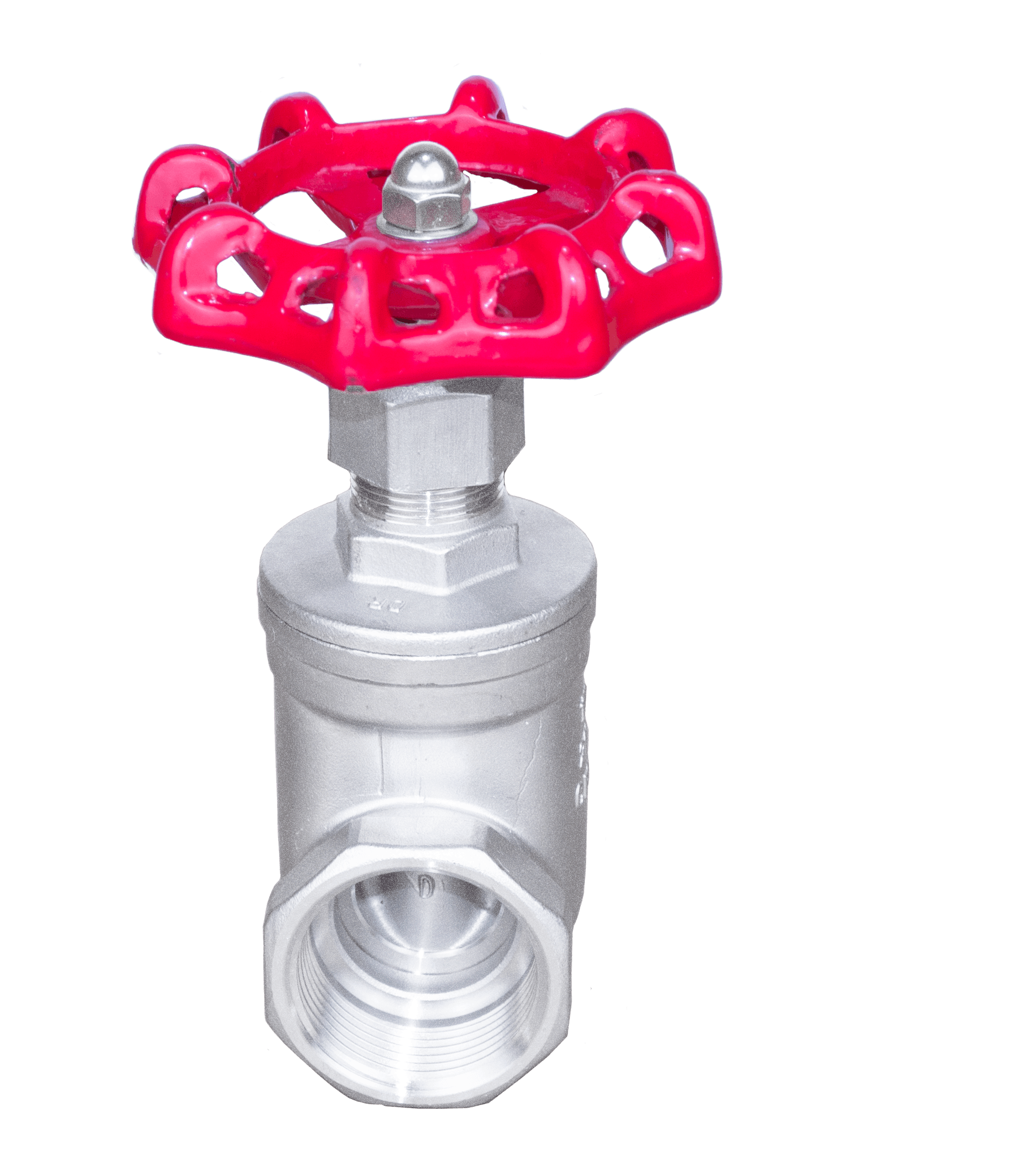 Stainless Steel Threaded Gate Valve - Image 4